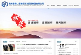 安龙城市开发投资集团有限公司